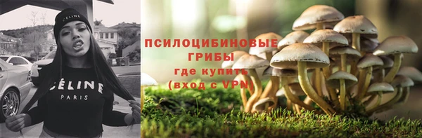 сатива Алексин