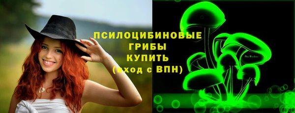 сатива Алексин