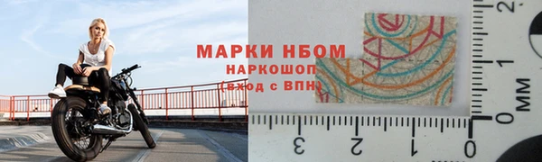 молекула духа Арсеньев